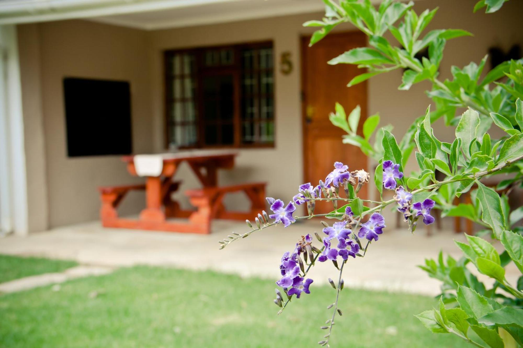 De Old Drift Guest Farm Vila Addo Quarto foto