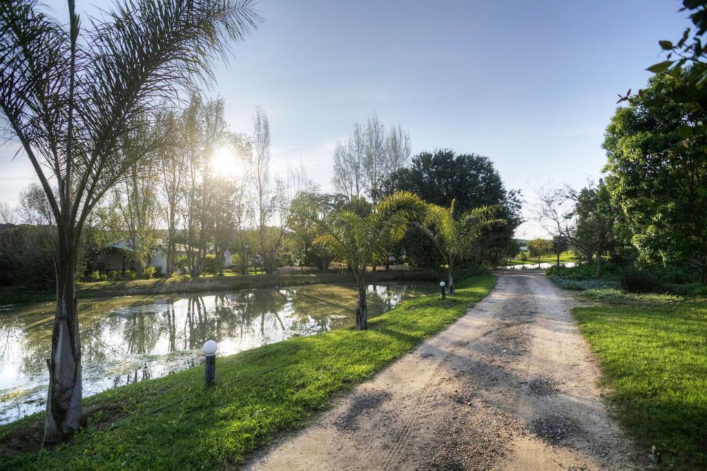 De Old Drift Guest Farm Vila Addo Exterior foto