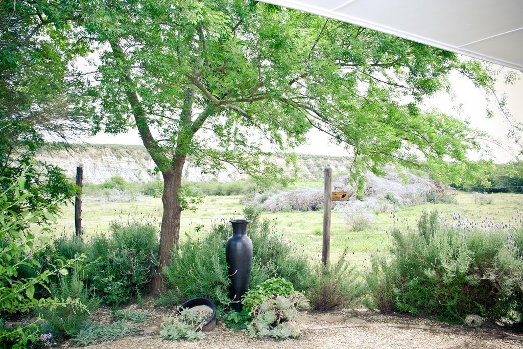 De Old Drift Guest Farm Vila Addo Exterior foto