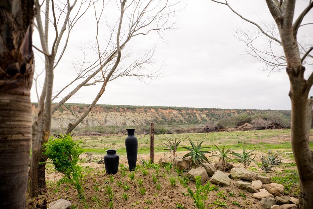 De Old Drift Guest Farm Vila Addo Exterior foto