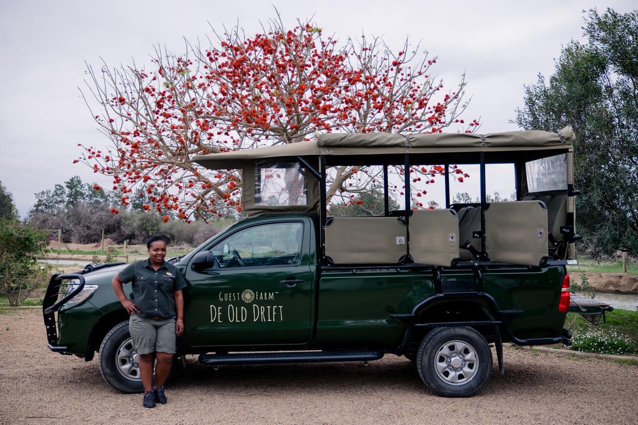 De Old Drift Guest Farm Vila Addo Exterior foto